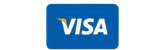 Visa Pay